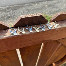 Load image into Gallery viewer, Prickly Pear Pendant Necklace in Sterling Silver or Jeweler’s Brass