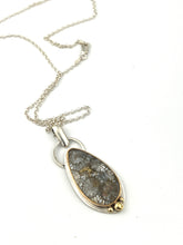 Load image into Gallery viewer, Indonesian Fossil Coral in sterling silver with a 14k gold filled bezel and accents.