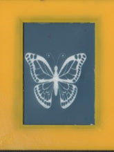 Load image into Gallery viewer, Design Screen Small - Butterfly