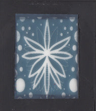 Load image into Gallery viewer, Design Screen Small - Lotus